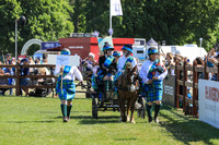 Riding For The Disabled Fancy Dress