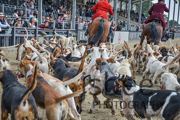 DSC_7286-119