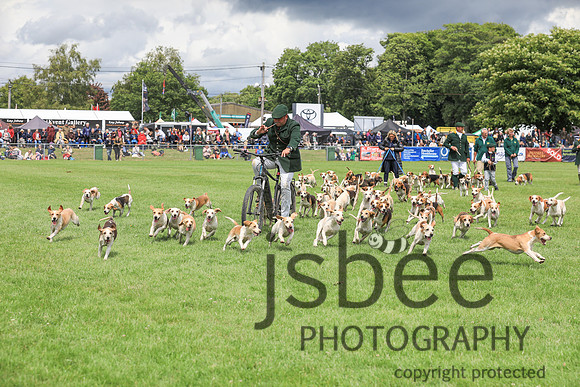 JOB_4262