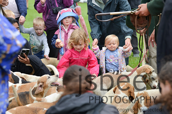 DSC_8562-62