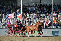 Royal Oman Cavalry