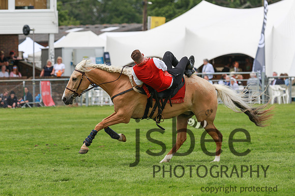 JOE_0172