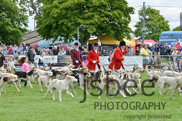 DSC_9872-121