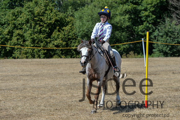 DSB_7528-453