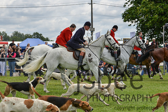 DSC_9984-195