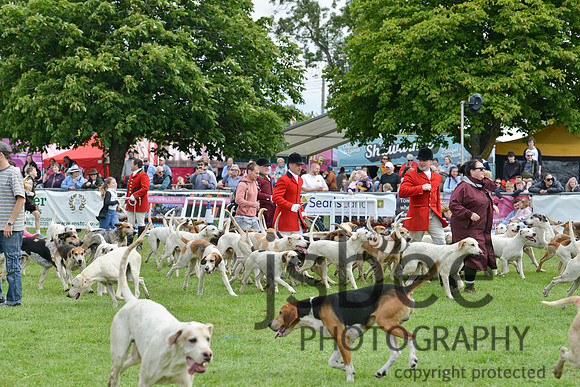 DSC_9869-118