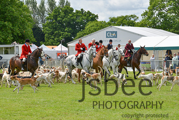 DSC_9796-61