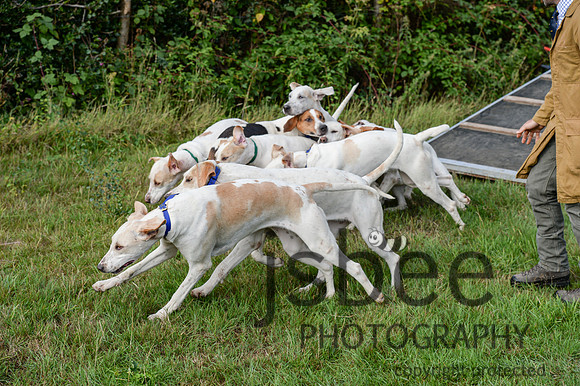 DSC_3655-5