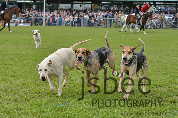 DSC_9959-178