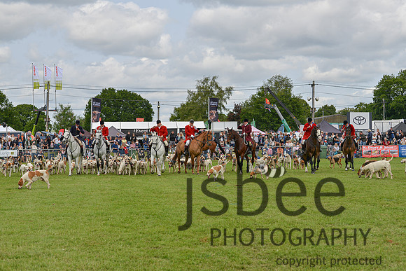 DSC_9962-181