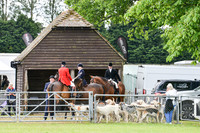 Cavalcade of Fox Hounds
