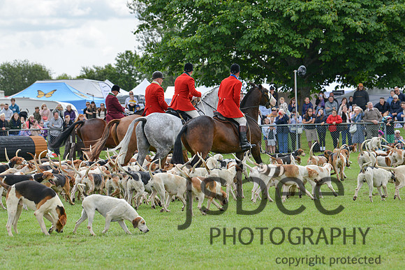 DSC_9793-58