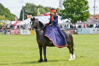 Side Saddle Concourse de Elegance