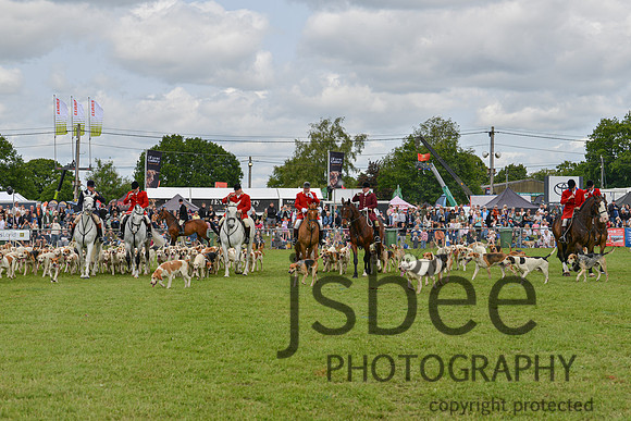 DSC_9965-184