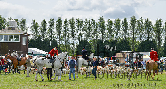 DSC_9885-129