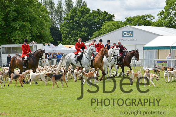 DSC_9795-60