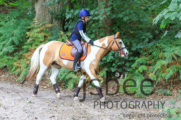 JOE_2156