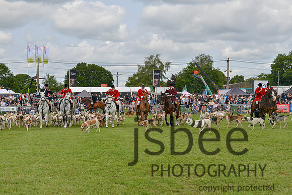 DSC_9964-183