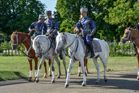 DSC_6942-2