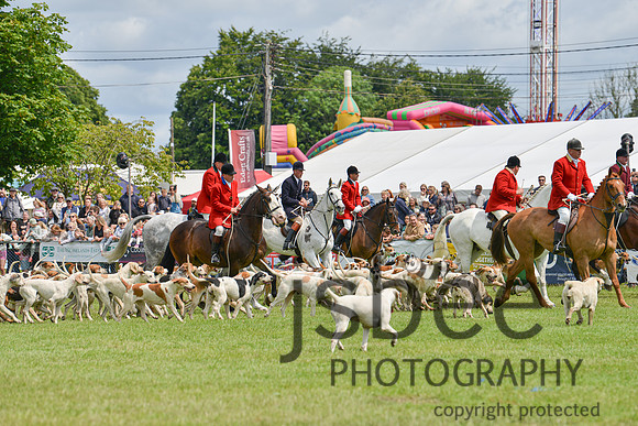 DSC_9818-80