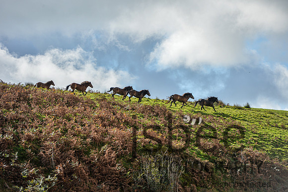 DSB_6925-30
