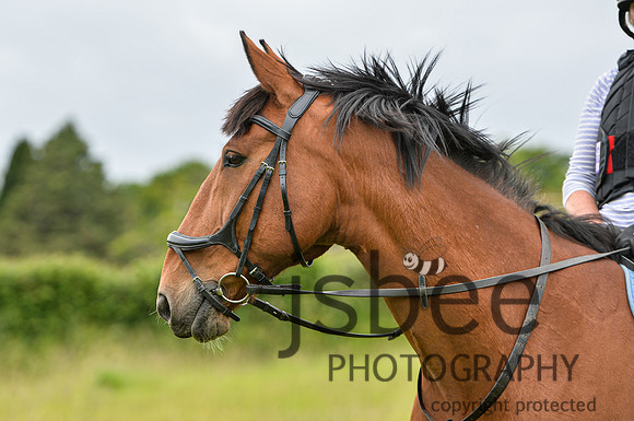 DSB_1592-238