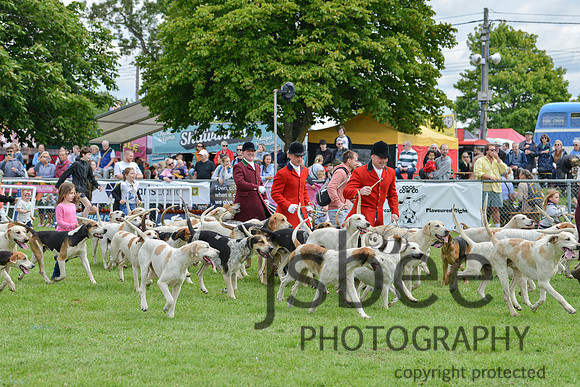DSC_9871-120