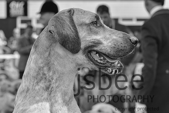 DSC_0029-220