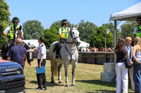 JOB_1625
